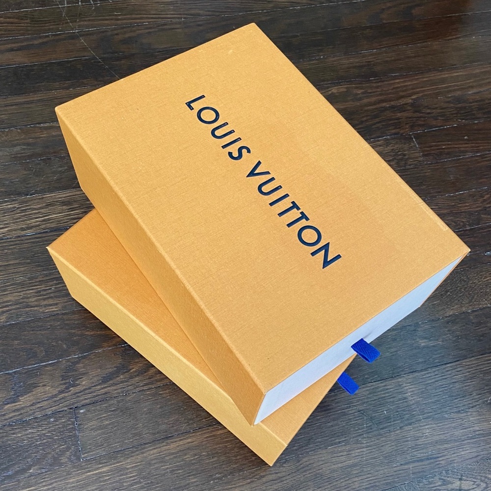 Louis Vuitton Shoe Box Medium